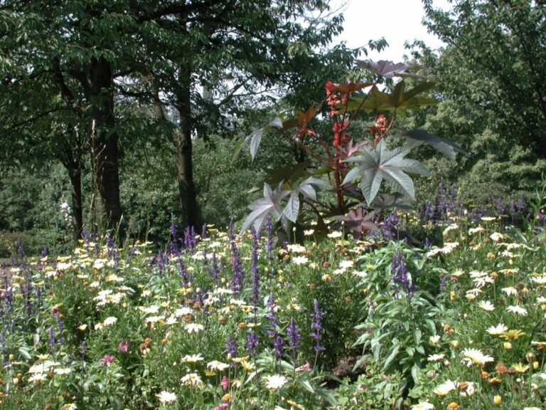 PARC DÉPARTEMENTAL DU MORBRAS