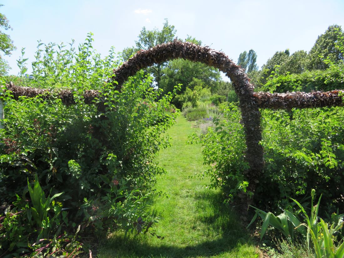 ARBORETUM DE L’ÉCOLE DU BREUIL