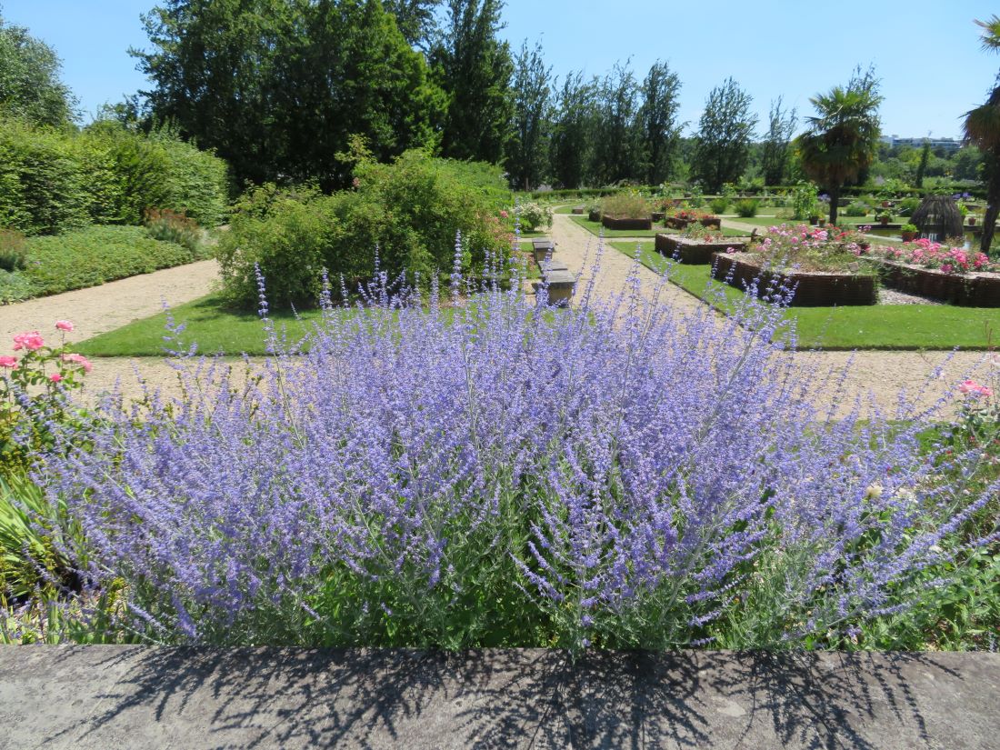 ARBORETUM DE L’ÉCOLE DU BREUIL