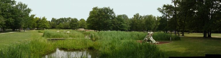 PARC DÉPARTEMENTAL DES MARMOUSETS