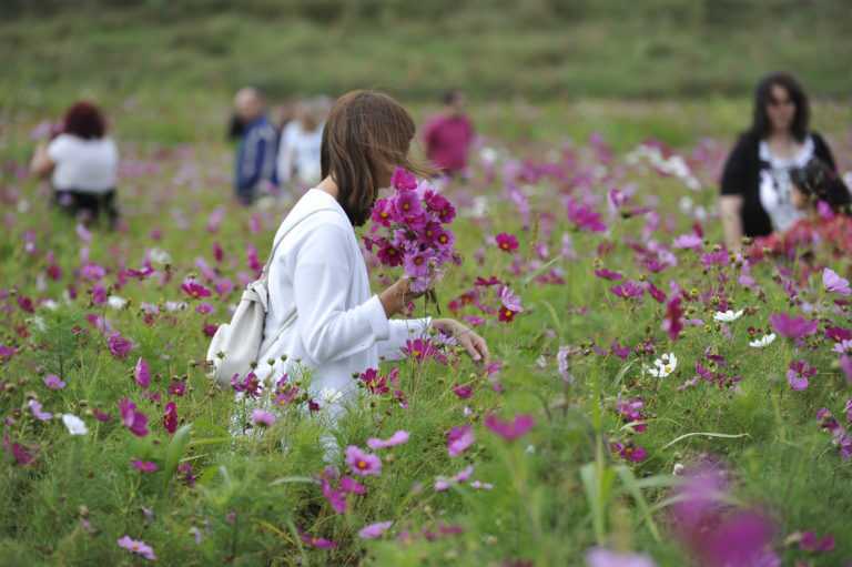 Pique-nique au parc départemental des Lilas à Vitry-sur-Seine