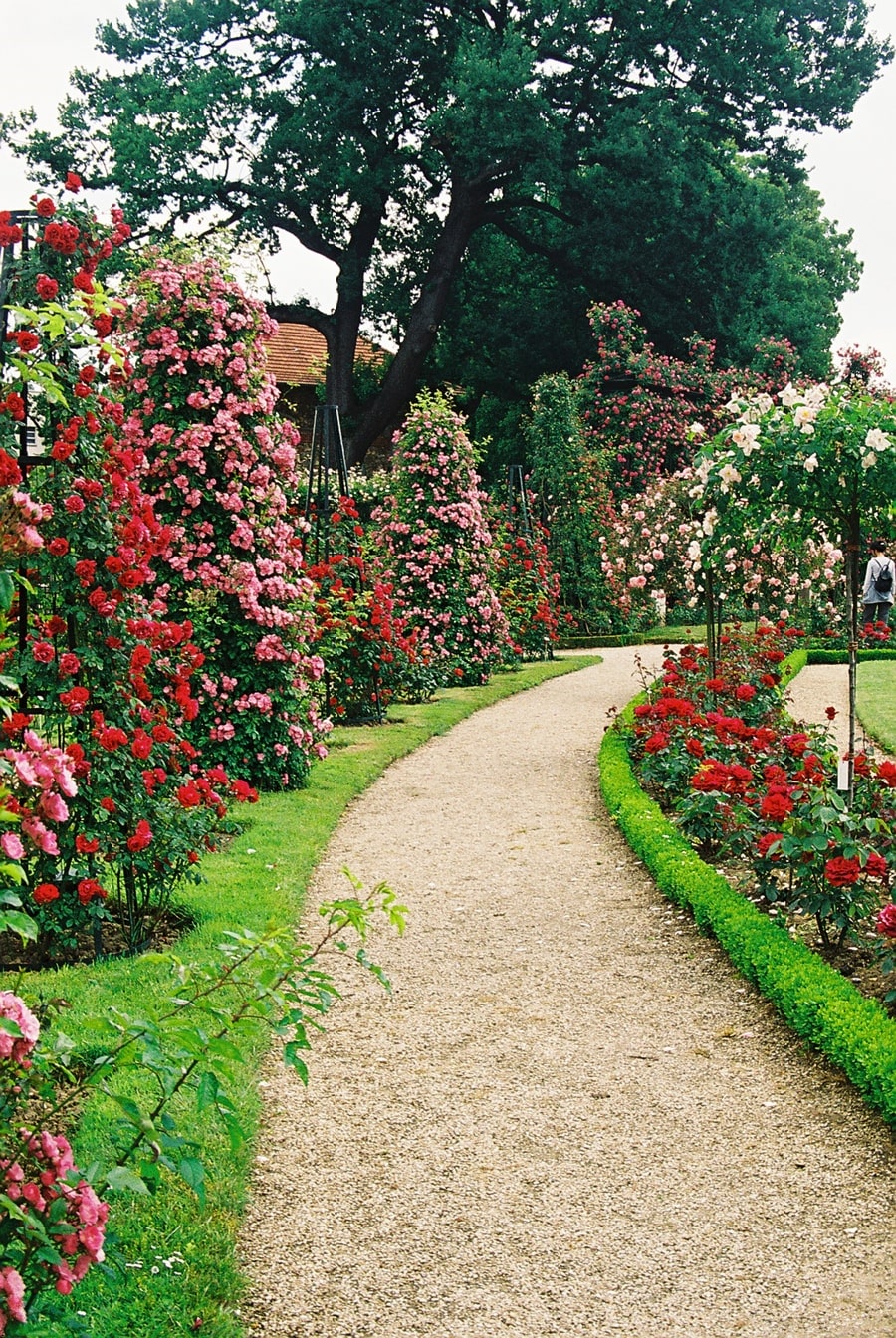 PARC DÉPARTEMENTAL DE LA ROSERAIE