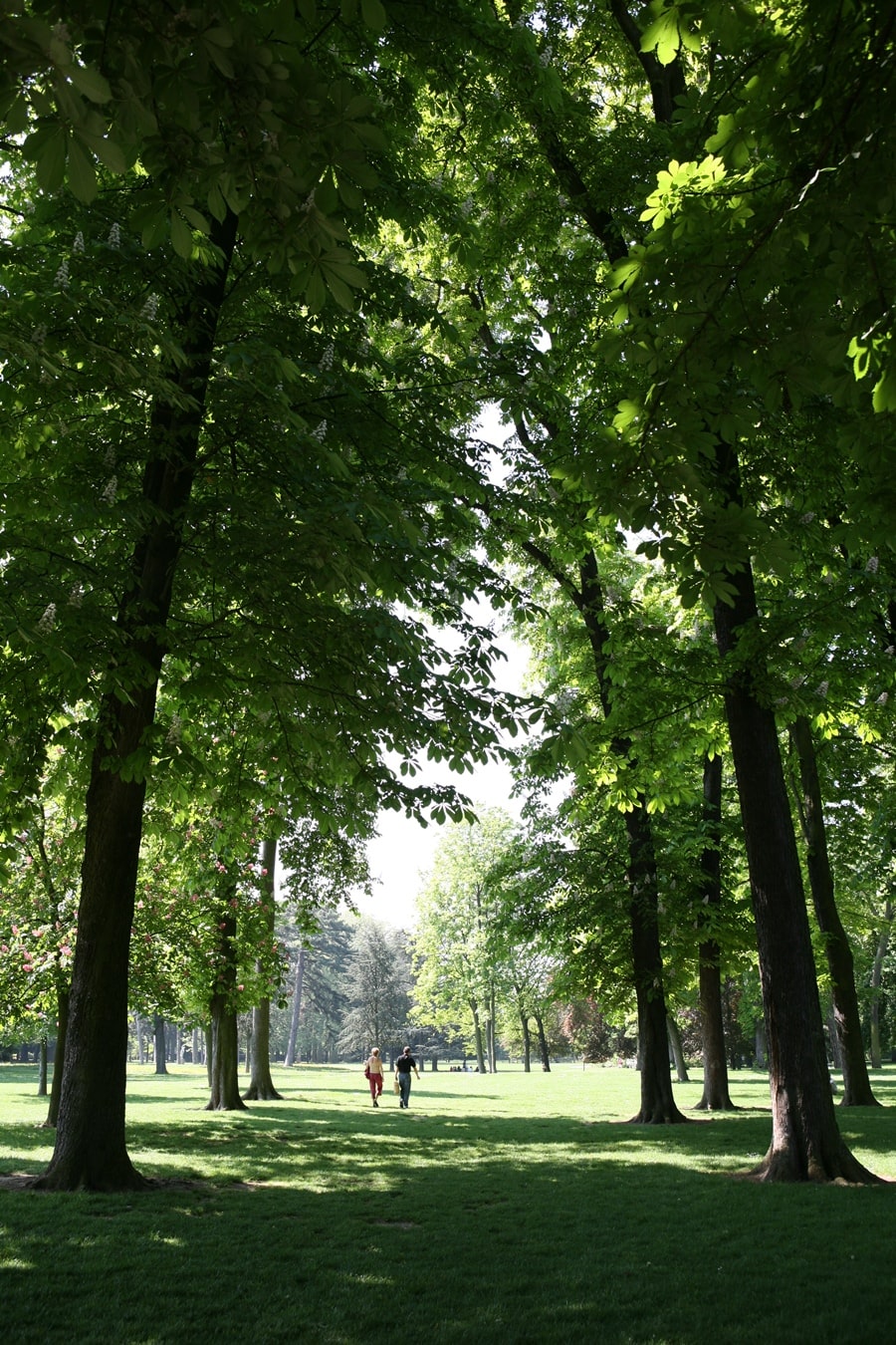 PARC DÉPARTEMENTAL DE LA ROSERAIE