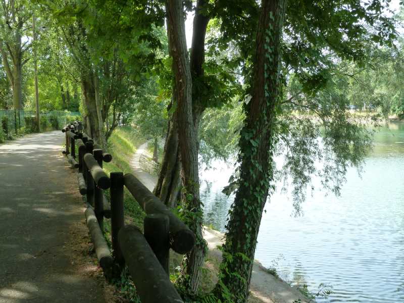 Pique-nique au bord de la Marne dans le Val-de-Marne
