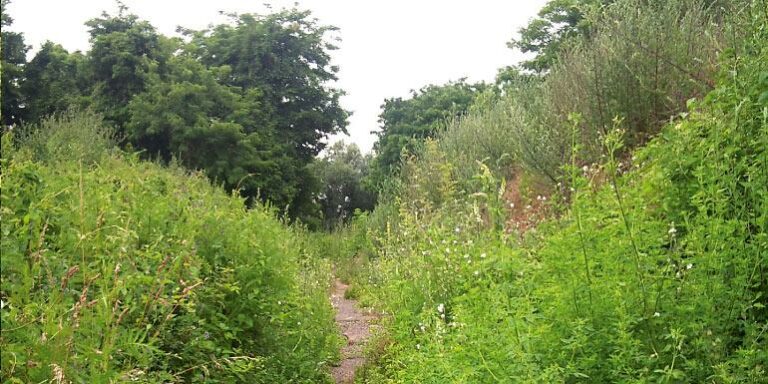 ESPACE NATUREL DE LA PIERRE-FITTE