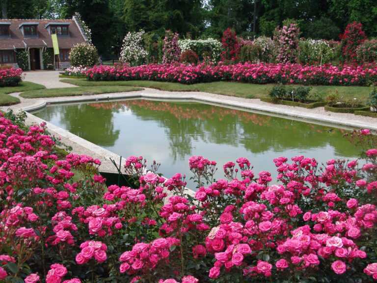 Pique-nique près de la Roseraie du Val-de-Marne à L'Haÿ-les-Roses