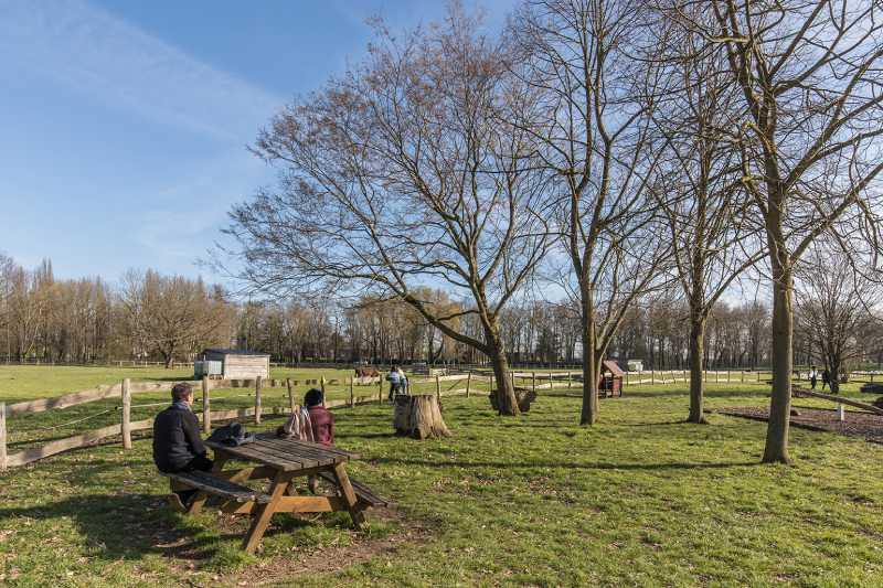 Pique-nique au parc de la Plaine des Bordes à Chennevières-sur-Marne