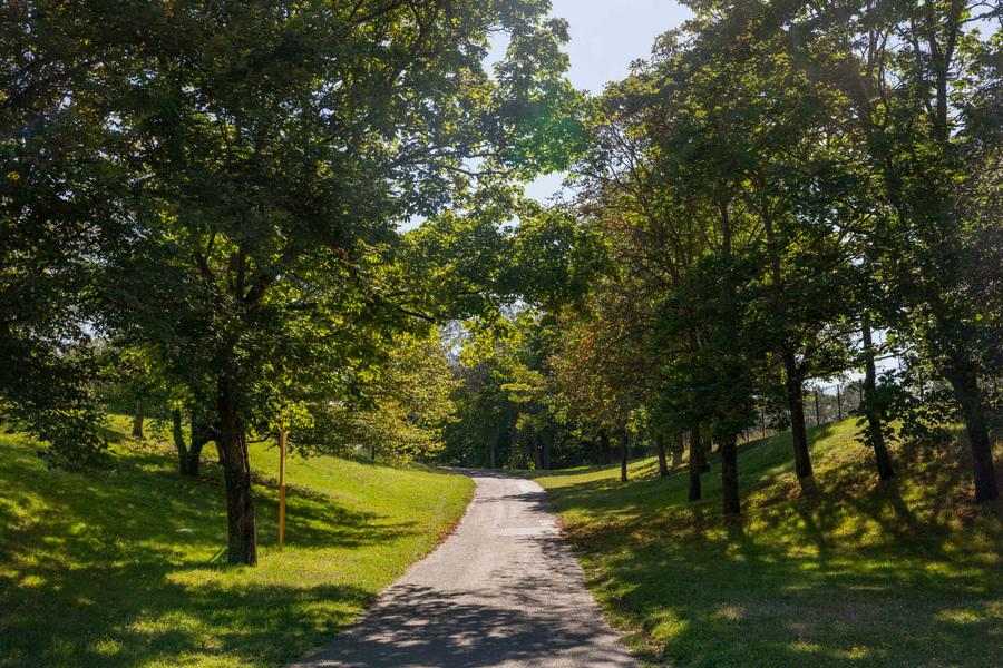 Pique-nique au parc du Tremblay à Champigny-sur-Marne