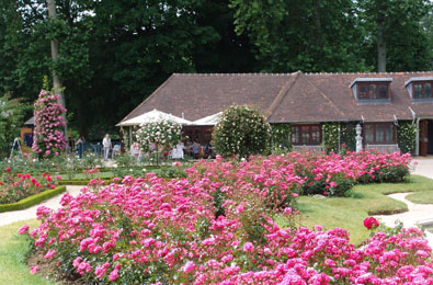 ROSERAIE DU VAL-DE-MARNE