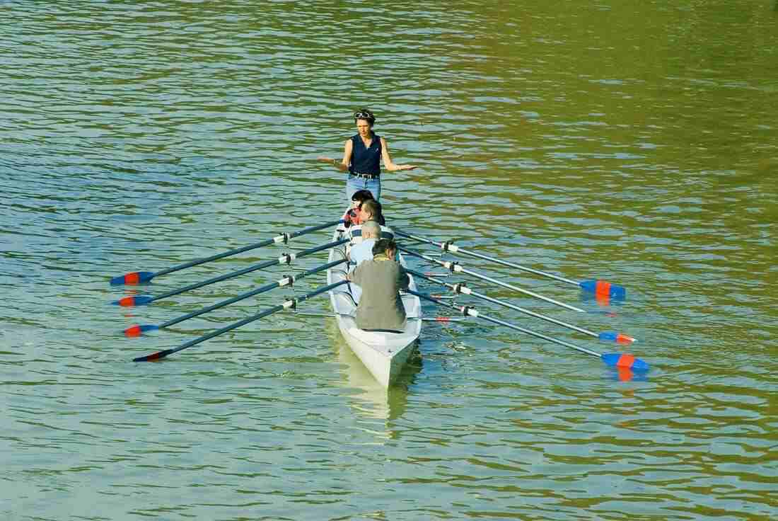 Aviron sur la Marne